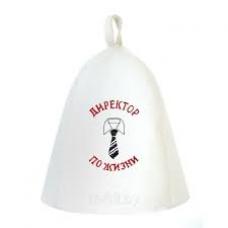 Шапка Директор по жизни